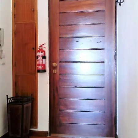 Sunny Close To The *