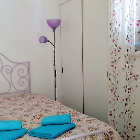 Sunny Close To The *