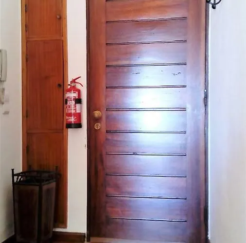 Sunny Close To The *