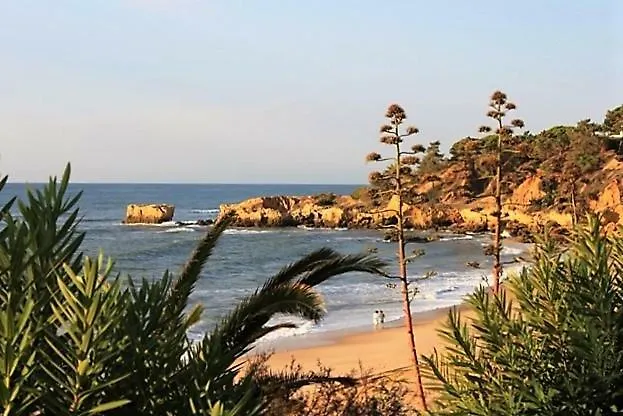 Sunny Close To The 알부페이라