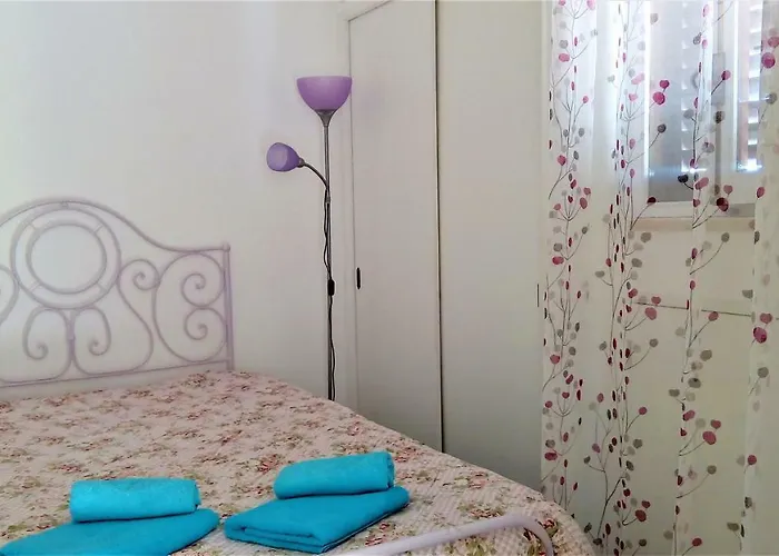 Sunny Close To The *